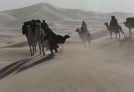 Queen of the Desert